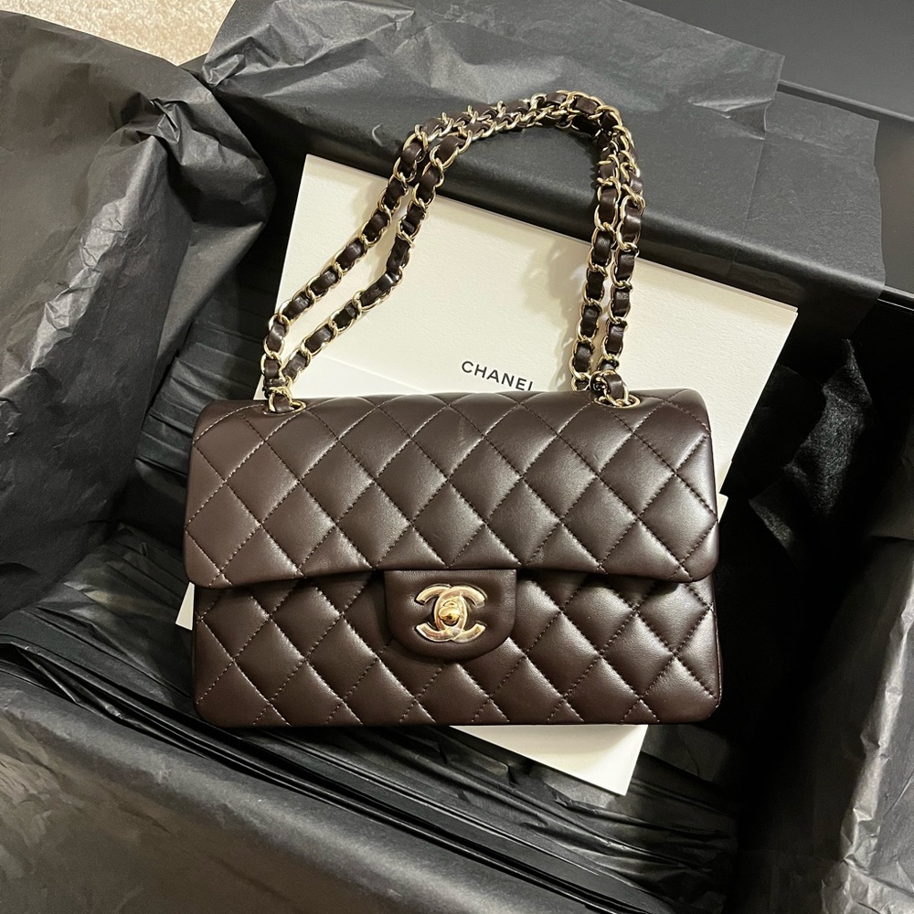 Chanel lambskin bag. Rare color🤎
